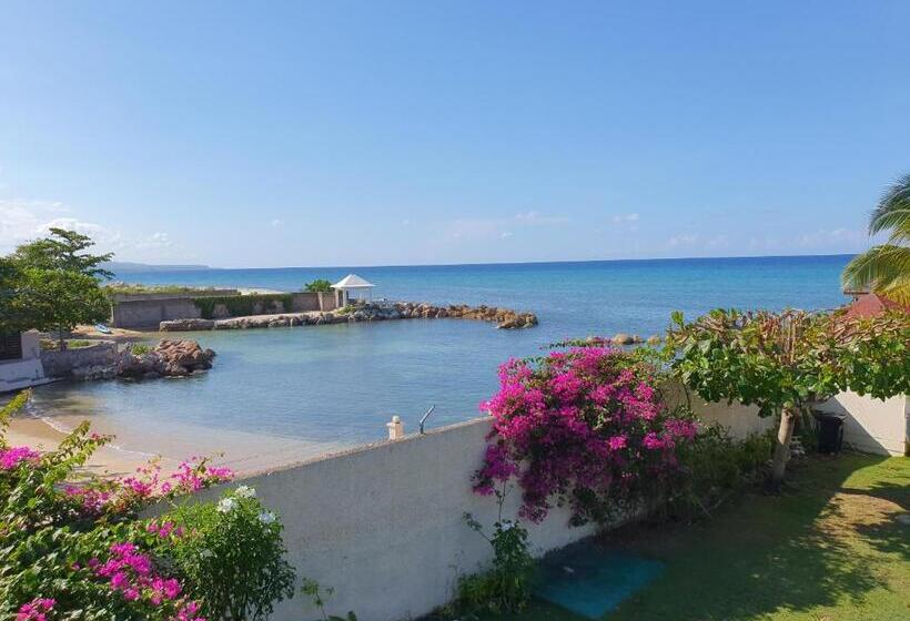 آپارتمان 1 خوابه با چشم‌انداز دریا, Pipers Cove Resort