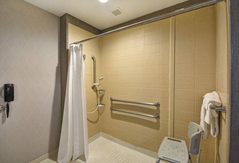 سوییت, Springhill Suites By Marriott Indianapolis Airport/plainfield