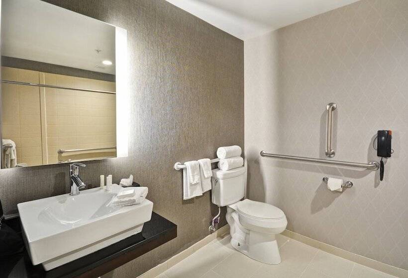 Suite, Springhill Suites By Marriott Indianapolis Airport/plainfield