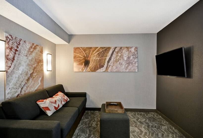سوییت, Springhill Suites By Marriott Indianapolis Airport/plainfield