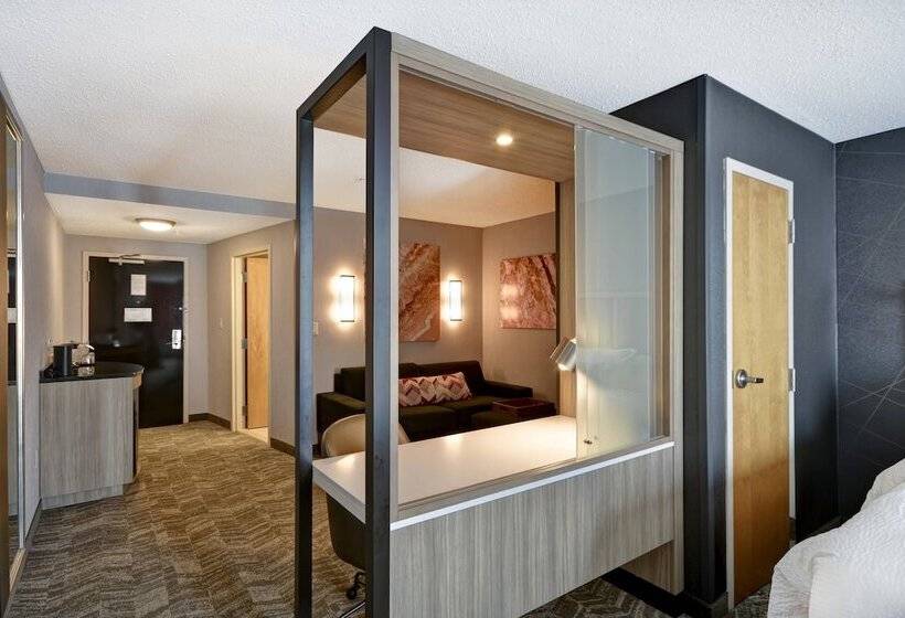 Suite 2 Chambres, Springhill Suites By Marriott Indianapolis Airport/plainfield