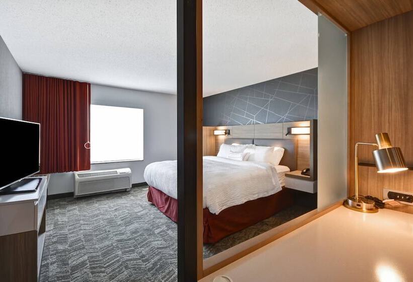 Suite, Springhill Suites By Marriott Indianapolis Airport/plainfield