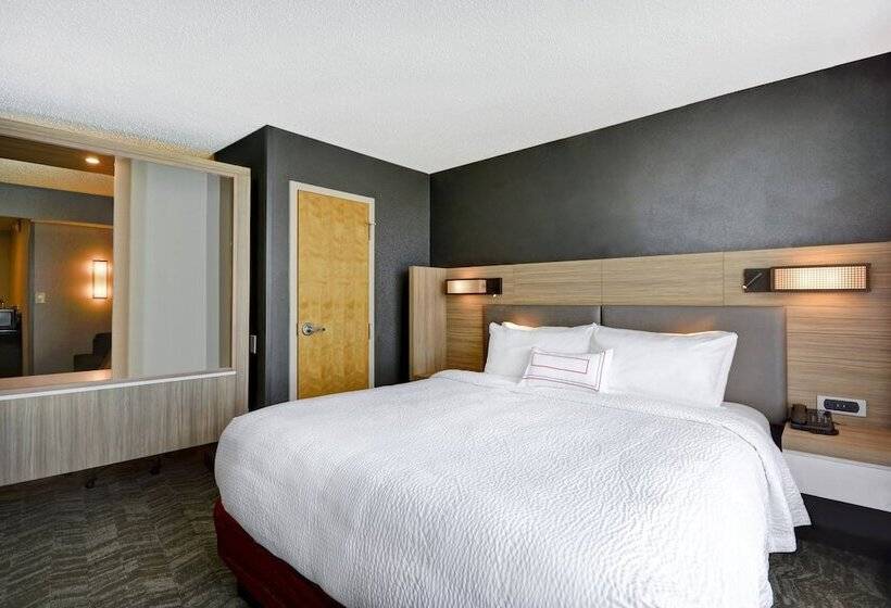 Suite, Springhill Suites By Marriott Indianapolis Airport/plainfield