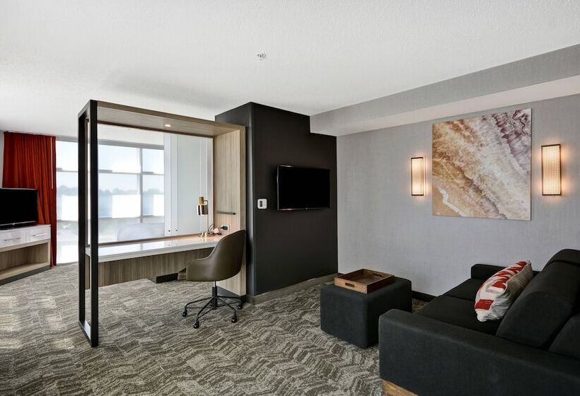 سوییت, Springhill Suites By Marriott Indianapolis Airport/plainfield