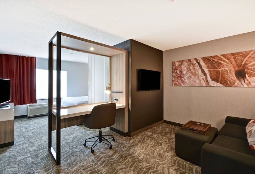 Suite, Springhill Suites By Marriott Indianapolis Airport/plainfield