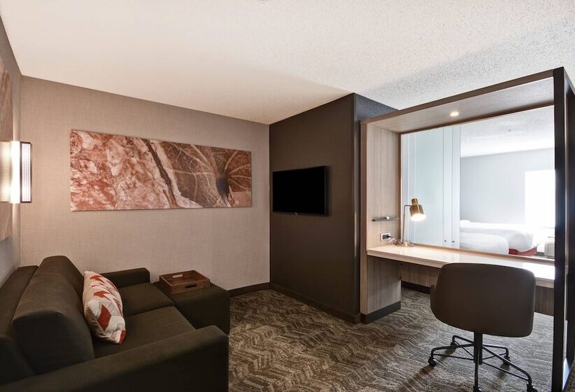 سوییت, Springhill Suites By Marriott Indianapolis Airport/plainfield