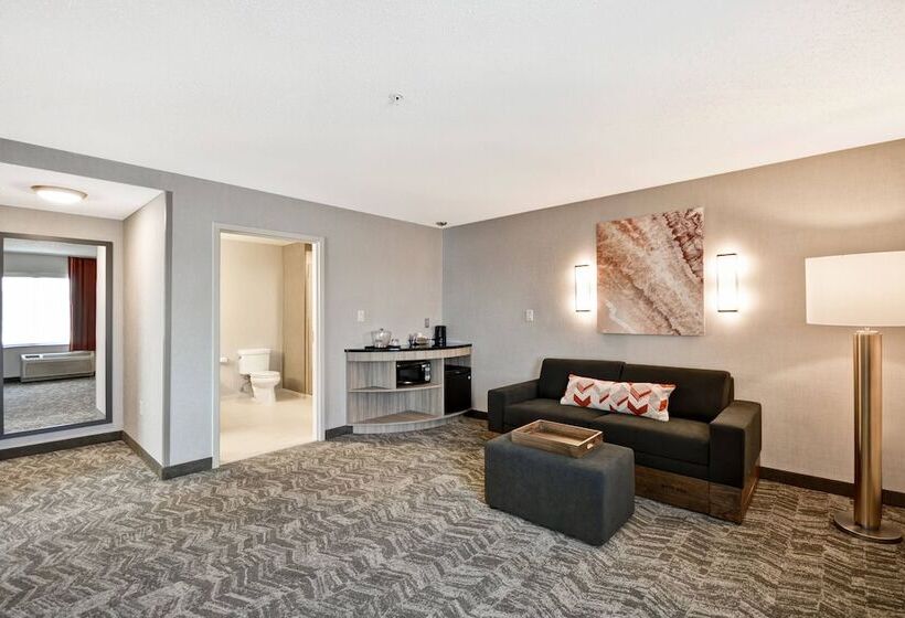 سوییت, Springhill Suites By Marriott Indianapolis Airport/plainfield