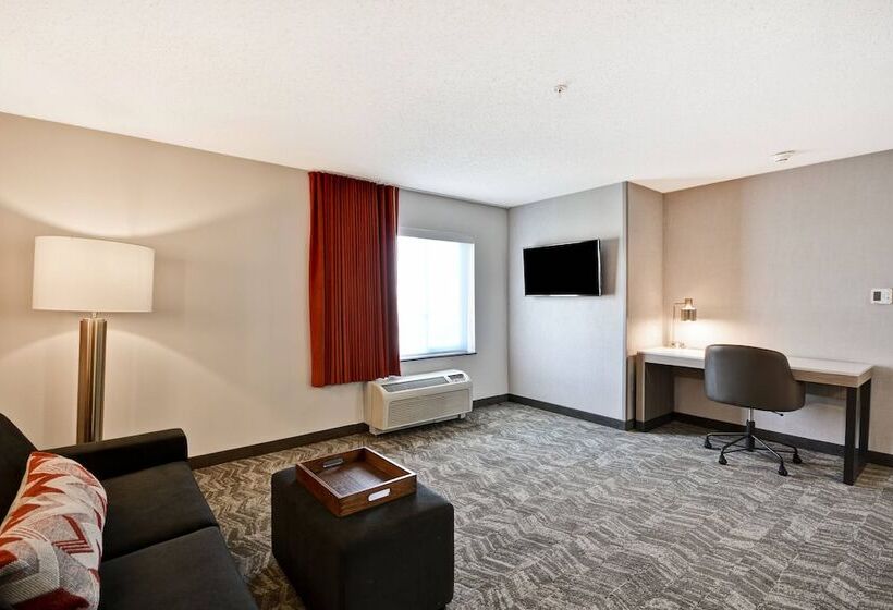 Suite, Springhill Suites By Marriott Indianapolis Airport/plainfield