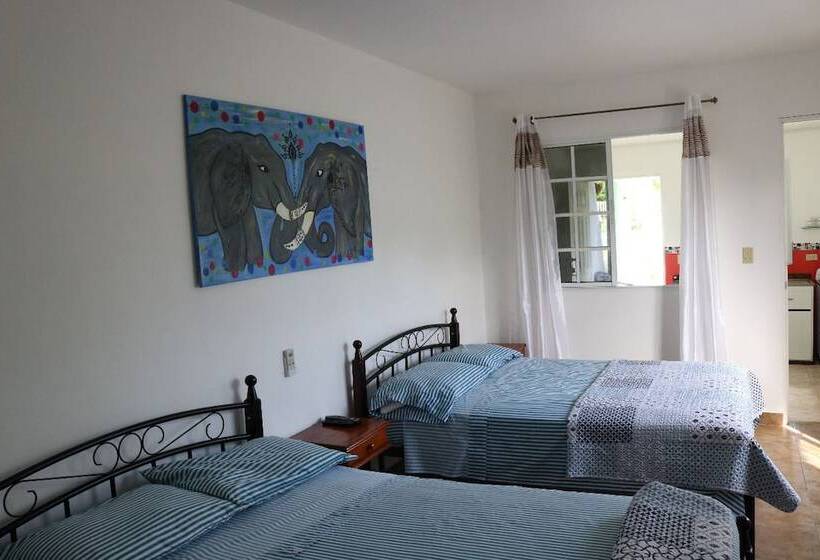 آپارتمان 1 خوابه با چشم‌انداز باغ, Bed And Breakfast Little Italy