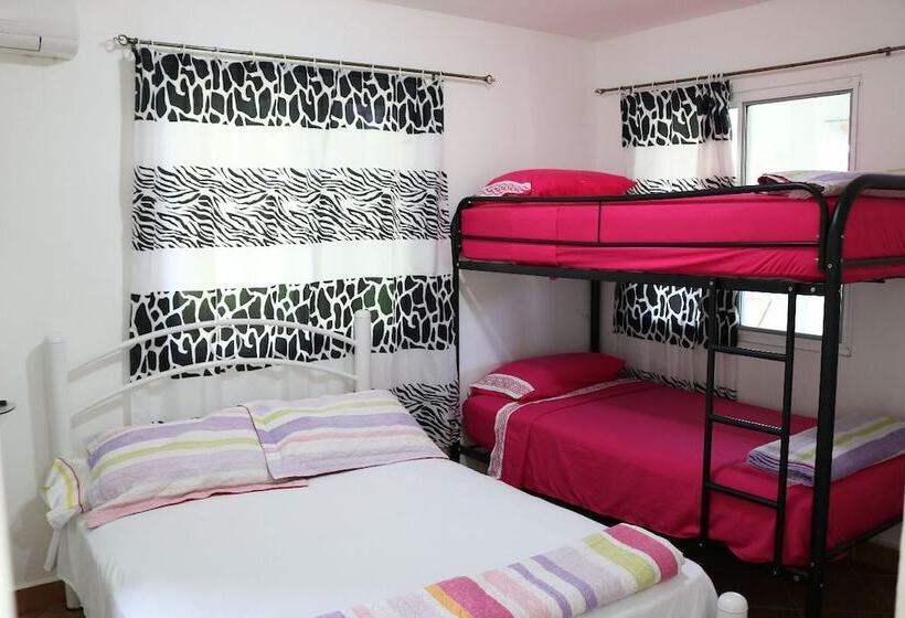آپارتمان 1 خوابه با چشم‌انداز باغ, Bed And Breakfast Little Italy
