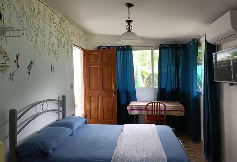 اتاق استاندارد, Bed And Breakfast Little Italy