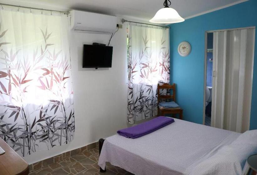 اتاق استاندارد, Bed And Breakfast Little Italy