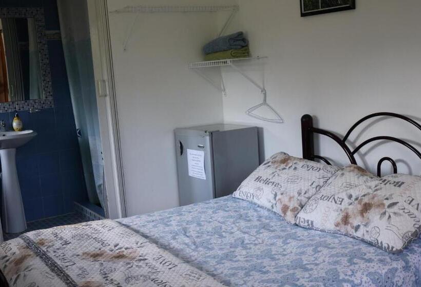 اتاق استاندارد, Bed And Breakfast Little Italy