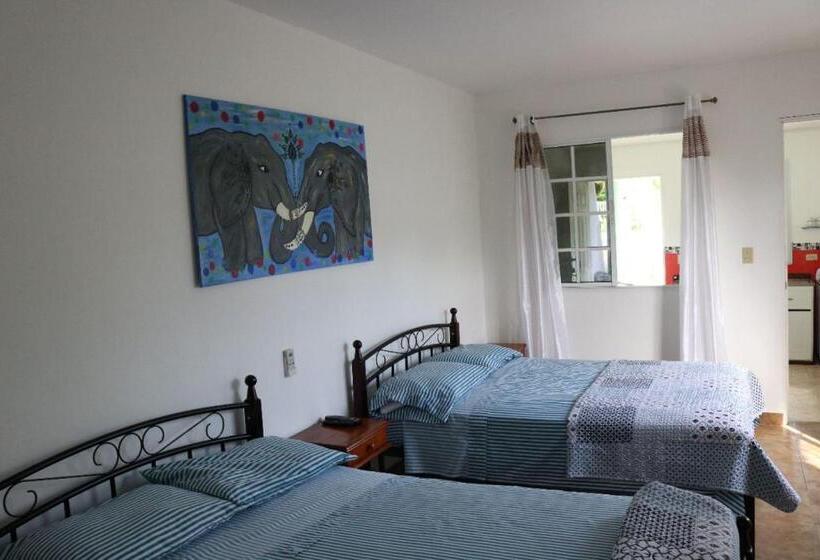 آپارتمان 1 خوابه با چشم‌انداز باغ, Bed And Breakfast Little Italy