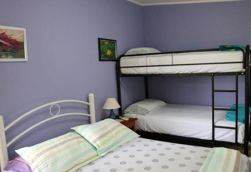 اتاق استاندارد چهارنفره با چشم‌انداز باغ, Bed And Breakfast Little Italy
