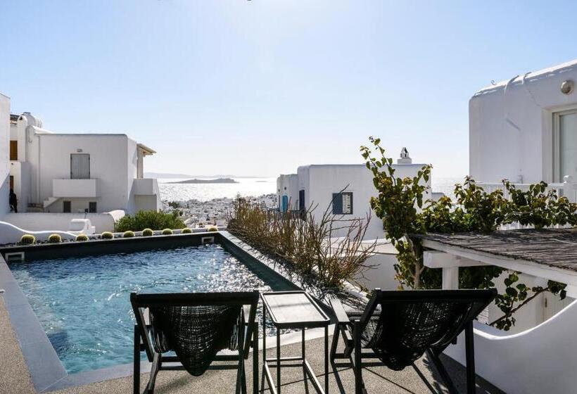 اتاق استاندارد با چشم‌انداز استخر, She Mykonos Boutique