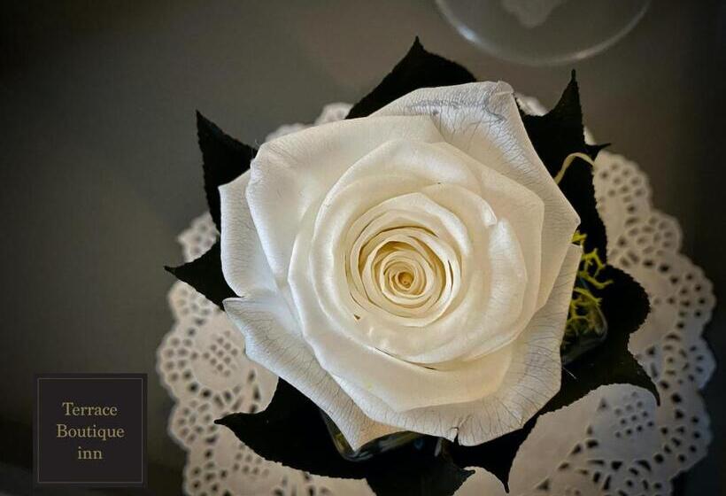 اتاق سوپریور با تخت بزرگ, Terrace Boutique Inn