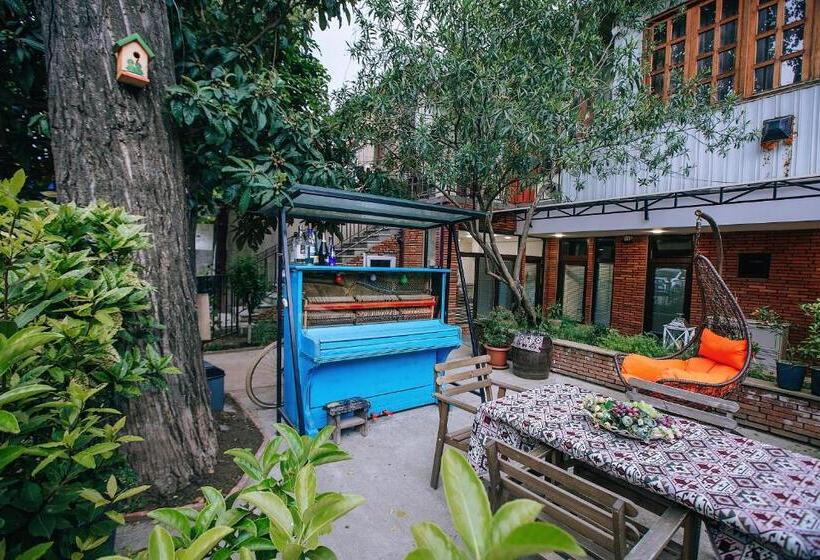 اتاق اکونومی, Ardoni