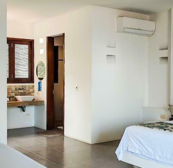 اتاق استاندارد, Coconuco Beach Palomino