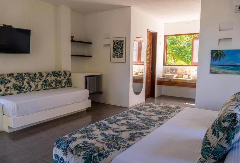 اتاق استاندارد, Coconuco Beach Palomino