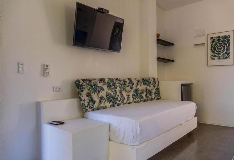 اتاق استاندارد, Coconuco Beach Palomino