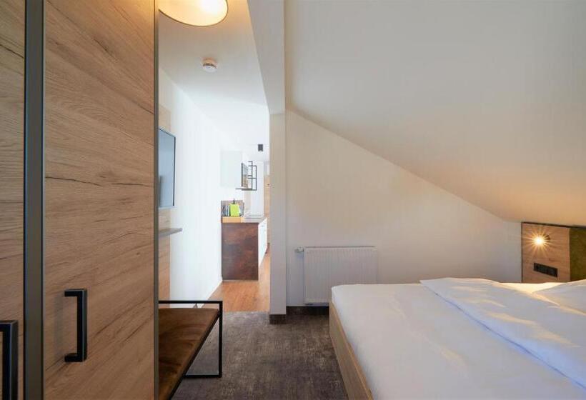 Апартаменты 1 Спальня с Балконом, Schneider Apartment Allersberg