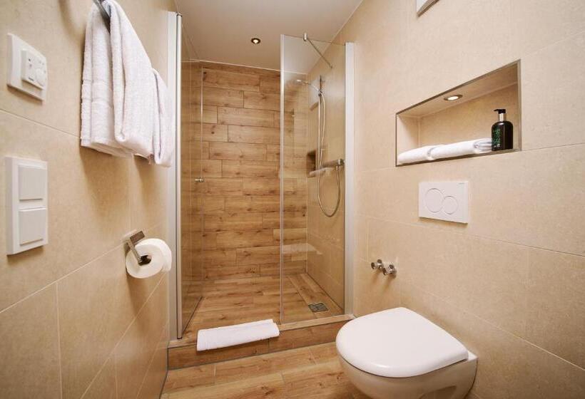 Студия Стандарт, Schneider Apartment Allersberg