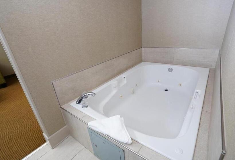 سوئیت با تخت بزرگ, Creekside Hotel & Suites