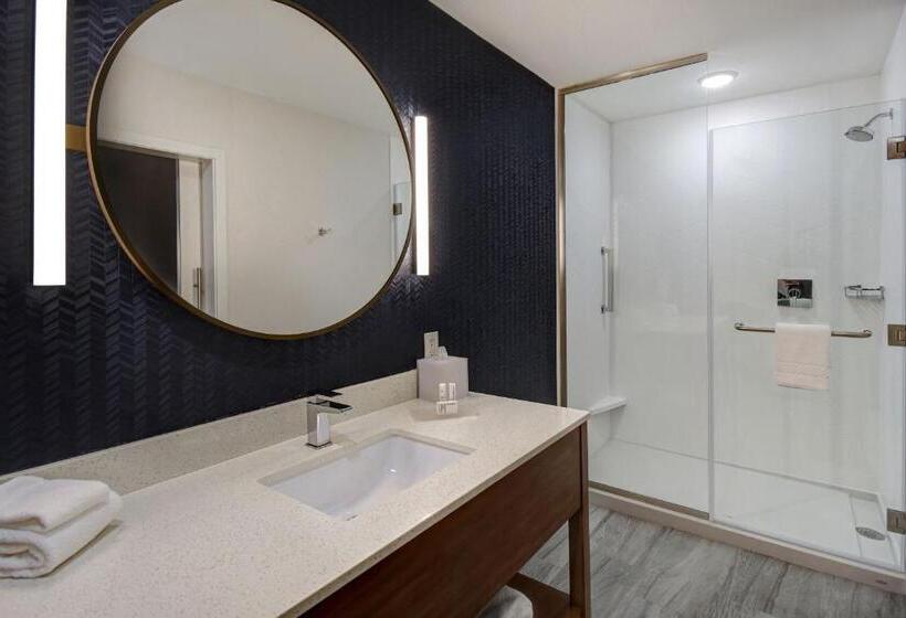 سوئیت برای معلولان, Fairfield By Marriott Inn & Suites Grand Rapids Wyoming