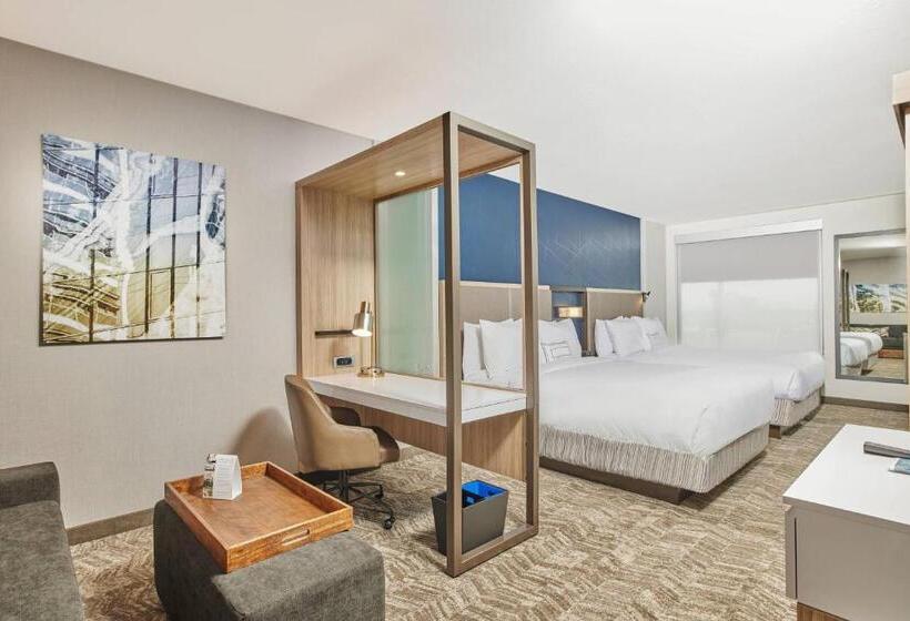 سوییت, Springhill Suites By Marriott Chicago Chinatown