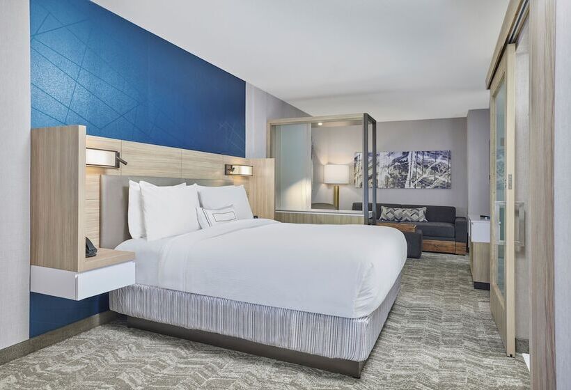 سوییت, Springhill Suites By Marriott Chicago Chinatown