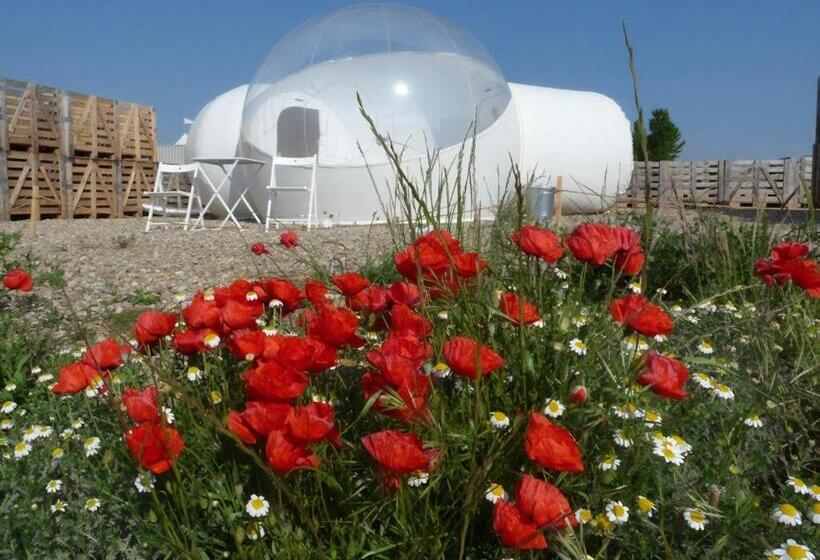 اتاق استاندارد, Aire De Bardenas