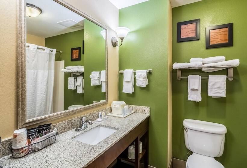 سوییت, Comfort Inn & Suites Panama City North