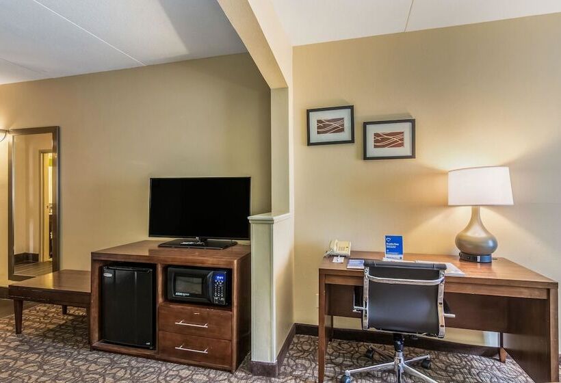 Suite, Comfort Inn & Suites Panama City Mall