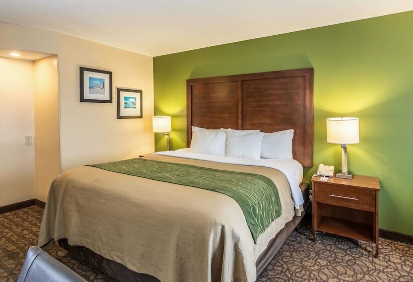 سوییت, Comfort Inn & Suites Panama City North
