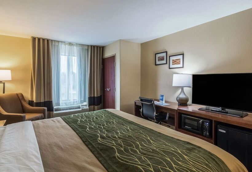 Suite, Comfort Inn & Suites Panama City Mall