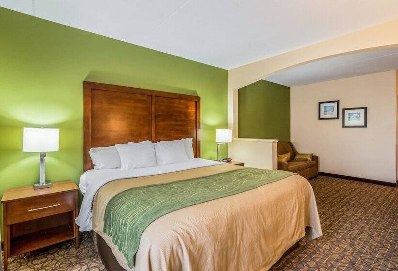 سوییت, Comfort Inn & Suites Panama City North