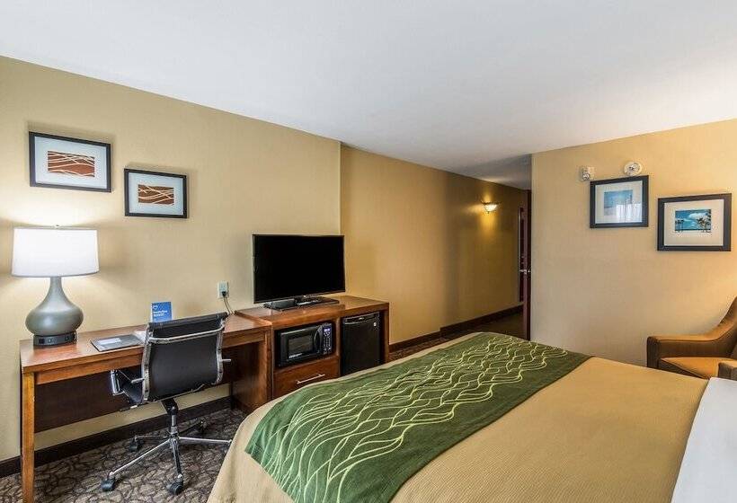 Suite, Comfort Inn & Suites Panama City Mall