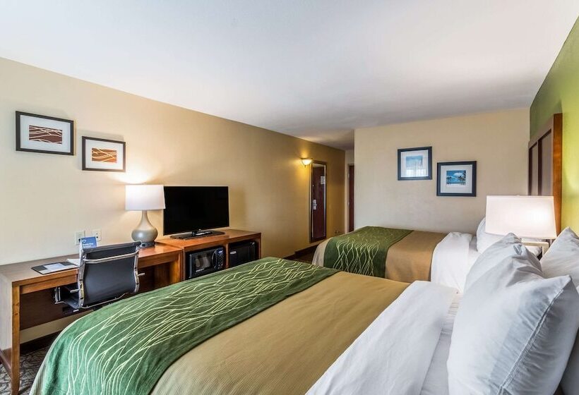 سوییت, Comfort Inn & Suites Panama City North