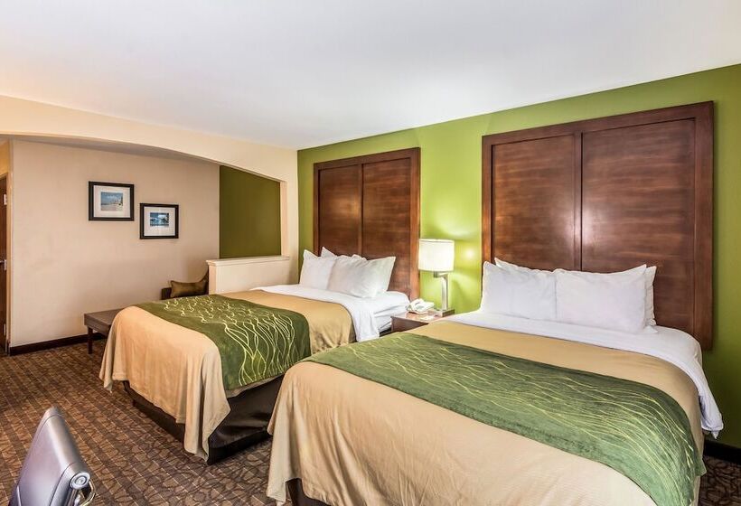 سوییت, Comfort Inn & Suites Panama City North