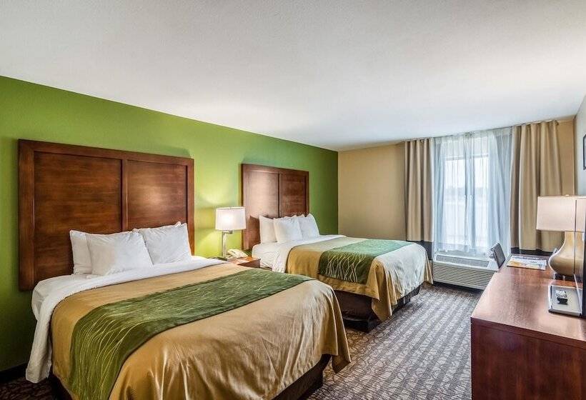 Suite, Comfort Inn & Suites Panama City Mall