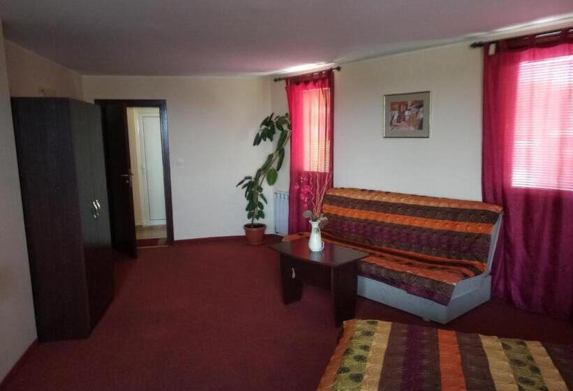 استودیوی استاندارد, Family Hotel Elena