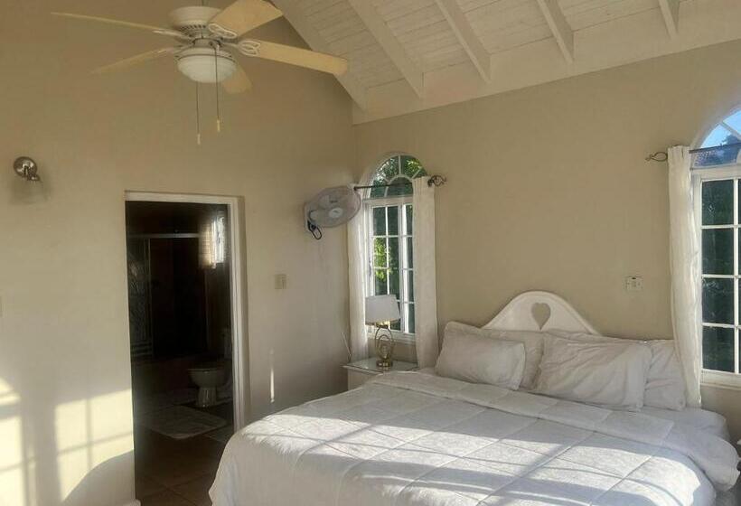 اتاق سوپریور با چشم‌انداز دریا, Retreat Guest House