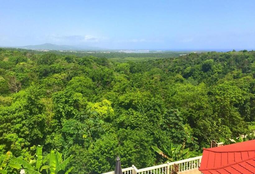 اتاق استاندارد با تخت بزرگ, Retreat Guest House