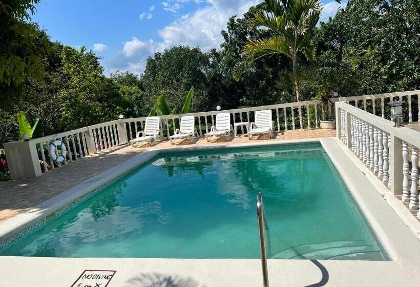 اتاق خانوادگی با چشم‌انداز دریا, Retreat Guest House