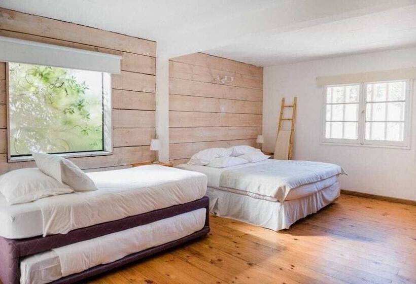 اتاق استاندارد چهار تخته, Mar Blanco