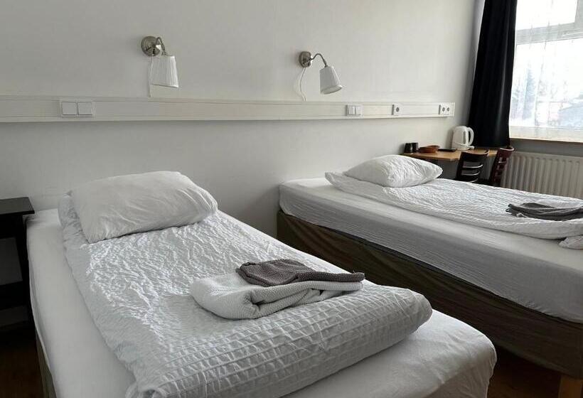 اتاق استاندارد با سرویس بهداشتی مشترک, Kanslarinn Hostel