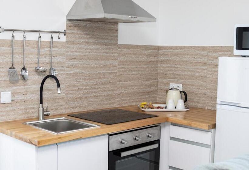 آپارتمان 1 خوابه با تراس, Hospedium Apartamentos Galitrips A Casa Da Reina