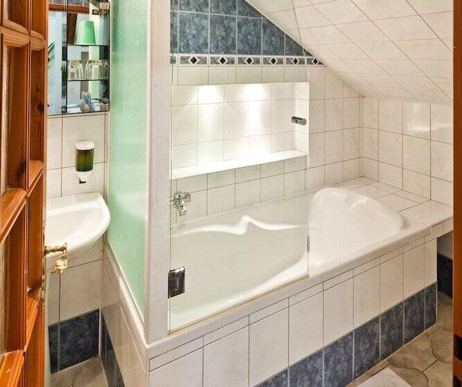 آپارتمان 1 خوابه, Pension Fontana Svitavy