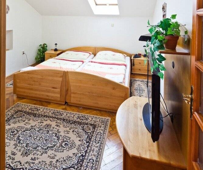 آپارتمان 1 خوابه, Pension Fontana Svitavy